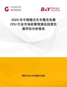 2025年中國廂式車車載充電器CPU行業(yè)市場(chǎng)前景預(yù)測(cè)及投資價(jià)值評(píng)估分析報(bào)告