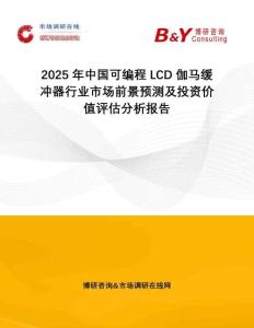 2025年中國可編程LCD伽馬緩沖器行業(yè)市場前景預(yù)測及投資價(jià)值評估分析報(bào)告