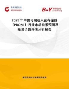 2025年中國可編程只讀存儲器（PROM ）行業市場前景預測及投資價值評估分析報告