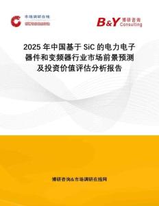 2025年中國基于SiC的電力電子器件和變頻器行業(yè)市場前景預(yù)測及投資價值評估分析報告