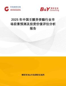 2025年中國壬酸異癸酯行業(yè)市場前景預測及投資價值評估分析報告