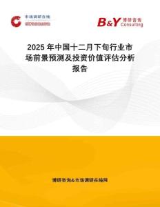2025年中國十二月下旬行業(yè)市場前景預(yù)測及投資價(jià)值評(píng)估分析報(bào)告