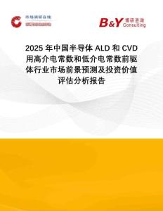 2025年中國(guó)半導(dǎo)體ALD和CVD用高介電常數(shù)和低介電常數(shù)前驅(qū)體行業(yè)市場(chǎng)前景預(yù)測(cè)及投資價(jià)值評(píng)估分析報(bào)告
