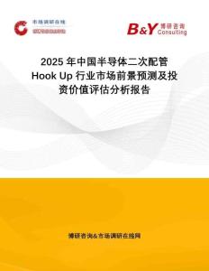 2025年中國半導(dǎo)體二次配管Hook Up行業(yè)市場前景預(yù)測及投資價(jià)值評估分析報(bào)告