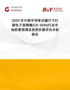 2025年中國半導(dǎo)體關(guān)鍵尺寸掃描電子顯微鏡(CD-SEM)行業(yè)市場前景預(yù)測及投資價值評估分析報告