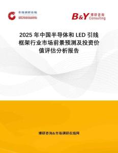 2025年中國(guó)半導(dǎo)體和LED引線框架行業(yè)市場(chǎng)前景預(yù)測(cè)及投資價(jià)值評(píng)估分析報(bào)告