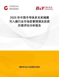 2025年中國半導體多光束掩模寫入器行業市場前景預測及投資價值評估分析報告