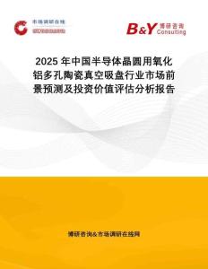 2025年中國半導體晶圓用氧化鋁多孔陶瓷真空吸盤行業市場前景預測及投資價值評估分析報告