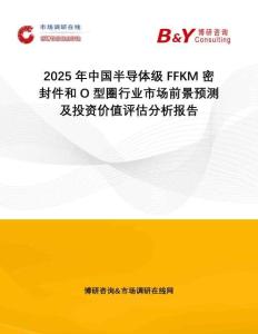 2025年中國半導體級FFKM密封件和O型圈行業市場前景預測及投資價值評估分析報告