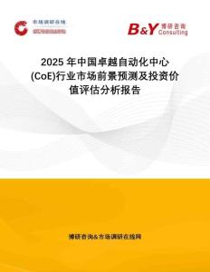 2025年中國卓越自動化中心(CoE)行業(yè)市場前景預(yù)測及投資價值評估分析報告