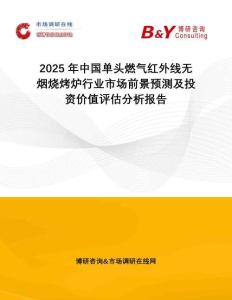 2025年中國單頭燃氣紅外線無煙燒烤爐行業(yè)市場前景預測及投資價值評估分析報告