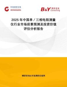 2025年中國單／三相電阻測量儀行業市場前景預測及投資價值評估分析報告