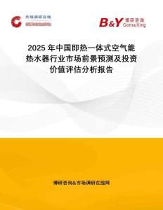 2025年中國即熱一體式空氣能熱水器行業(yè)市場前景預測及投資價值評估分析報告