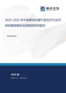 2025-2031年中國單段式煤氣發(fā)生爐行業(yè)市場發(fā)展規(guī)模及投資趨勢研判報(bào)告