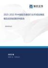 2025-2031年中國低空通信行業(yè)市場發(fā)展規(guī)模及投資前景研判報告