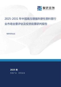 2025-2031年中國高壓增強熱塑性塑料管行業(yè)市場全景評估及投資前景研判報告