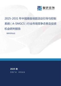 2025-2031年中國高級場面活動引導與控制系統（A-SMGCS）行業市場競爭態勢及投資機會研判報告