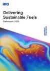 交付可持續(xù)燃料：通往2035年的途徑報(bào)告（英文版）-IEA國際能源署