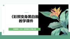 第一單元第3課《彩照變身黑白畫》教學課件-2025-2026學年嶺南美版（2024）初中美術八年級上冊