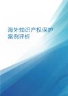 海外知識(shí)產(chǎn)權(quán)保護(hù)案例評(píng)析 2025