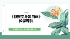 《彩照變身黑白畫》教學課件-2025-2026學年嶺南美版（2024）初中美術八年級上冊