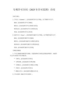 專利許可合同（2025年許可范圍）合同