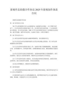影視作品拍攝合作協(xié)議2025年影視制作條款合同