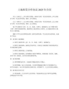 土地租賃合作協議2025年合同