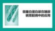 微量白蛋白尿在糖尿病腎臟病中的應(yīng)用