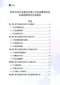 2026年高可見度反光背心行業(yè)發(fā)展現(xiàn)狀及未來趨勢研究分析報(bào)告