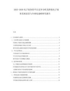2025-2030電子商務(wù)的平臺競爭分析及跨境電子商務(wù)發(fā)展前景與全球化戰(zhàn)略研究報告