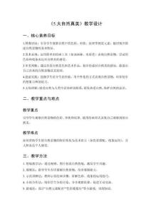 2025秋小學(xué)美術(shù)浙美版（2024）一年級上冊第二單元 美無處不在《5.大自然真美》教學(xué)設(shè)計