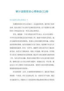 審計(jì)流程實(shí)訓(xùn)心得體會(huì)份