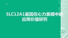 SLC12A1基因在心力衰竭中的應用價值研究