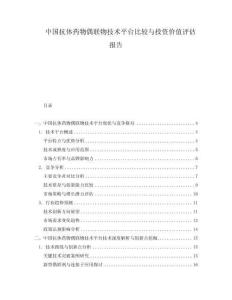中國抗體藥物偶聯(lián)物技術(shù)平臺(tái)比較與投資價(jià)值評估報(bào)告