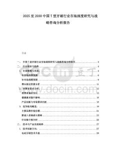 2025至2030中國(guó)T型牙刷行業(yè)市場(chǎng)深度研究與戰(zhàn)略咨詢分析報(bào)告