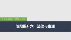 2026屆高三政治一輪復(fù)習(xí)課件:階段提升六 法律與生活