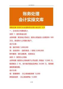 做賬實(shí)操-咨詢行業(yè)全盤賬務(wù)處理分錄實(shí)例 SOP