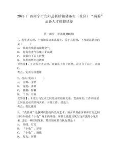 2025廣西南寧市賓陽縣新橋鎮(zhèn)儲(chǔ)備村（社區(qū)）“兩委”后備人才模擬試卷附答案詳解（模擬題）