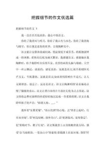 把握細節的作文優選篇