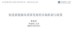 華南理工大學(xué)（荊朝霞）：2025年促進(jìn)新能源高質(zhì)量發(fā)展的市場機(jī)制與政策報(bào)告