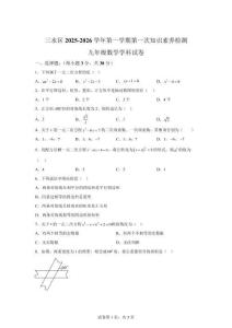 廣東省佛山市三水區(qū)十二校2025-2026學(xué)年九年級(jí)上學(xué)期知識(shí)素養(yǎng)檢測(cè)數(shù)學(xué)試題【含答案】