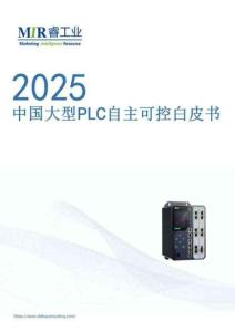 2025中國大型PLC自主可控白皮書