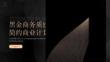 黑金商務(wù)質(zhì)感簡(jiǎn)約商業(yè)計(jì)劃PPT模板