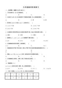 河北省石家莊市藁城區(qū)第一中學(xué)2025-2026學(xué)年九年級(jí)上學(xué)期10月月考數(shù)學(xué)試題(含簡略答案)