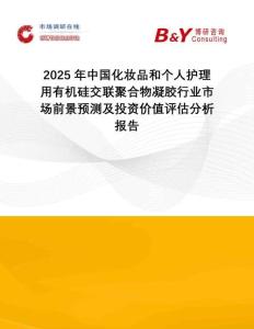2025年中國化妝品和個人護理用有機硅交聯(lián)聚合物凝膠行業(yè)市場前景預測及投資價值評估分析報告