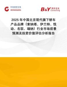 2025年中國北京現(xiàn)代旗下轎車產(chǎn)品品牌（索納塔、伊蘭特、悅動、名馭、瑞納）行業(yè)市場前景預(yù)測及投資價值評估分析報告