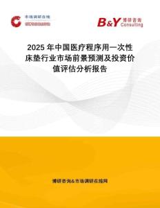 2025年中國醫(yī)療程序用一次性床墊行業(yè)市場前景預(yù)測及投資價(jià)值評估分析報(bào)告