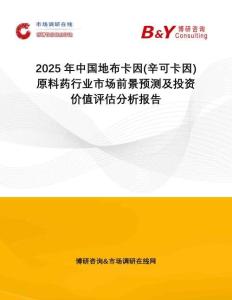 2025年中國地布卡因(辛可卡因)原料藥行業(yè)市場前景預(yù)測及投資價(jià)值評估分析報(bào)告