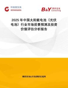 2025年中國(guó)太陽(yáng)能電池（光伏電池）行業(yè)市場(chǎng)前景預(yù)測(cè)及投資價(jià)值評(píng)估分析報(bào)告